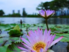 -上海植物园-4号门售票处