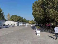 -胜华驾校·小猫学车(银都店)