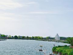 -荷兰花海