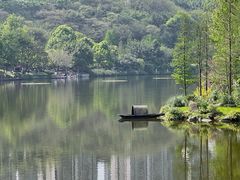-重庆彩云湖湿地公园