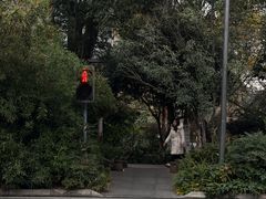 -成都市活水公园