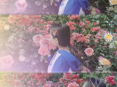 -云幽谷旅游区