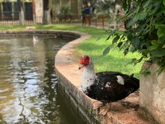 -月牙潭公园