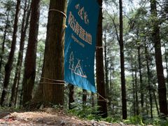 -重庆睡佛山森林公园
