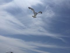 -海驴岛(荣成市)