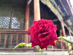 -麦盛斋糕点(北大街店)