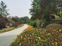 -秀丽东方