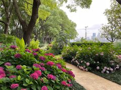 -北外滩滨江绿地