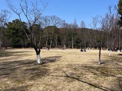-杭州植物园