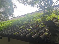 -丽江束河古镇-石莲古寺