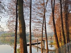 -白云湖畔酒店-湖畔餐厅