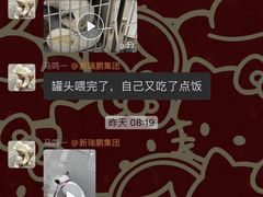 -美联众合动物医院·24h京西诊疗中心