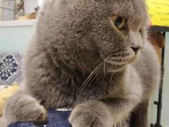 -平行世界·猫咖(首经贸店)