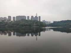-重庆彩云湖湿地公园