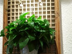 -京城小江南·北京烤鸭·江南土菜·白鱼(中关村店)