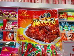 -郴州特产舜华临武鸭(郴州西站店)