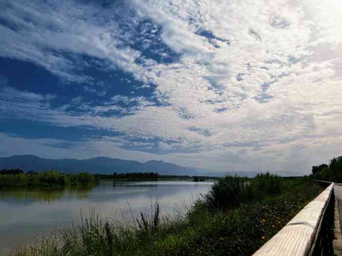 楊凌渭河溼地公園-