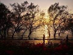 -宝安西湾红树林湿地公园