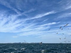 -大连海昌东方水城