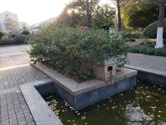 -杭州城北体育公园