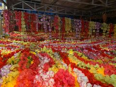 -吉祥圣雪藏餐