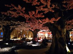 -蓝鲸湾汤泉(包河店)