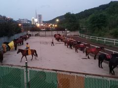 -鼎盛王朝康熙大典实景演出