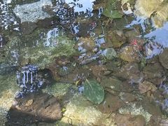 -老界岭旅游度假区