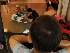 -百好乐宠物友好餐厅(朝外大街店)