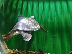 -华夏文旅西安度假区