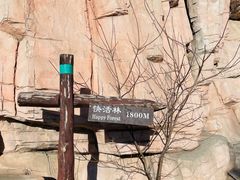 -北京西山国家森林公园