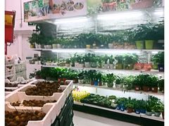 -卜蜂莲花(杨高南路店)