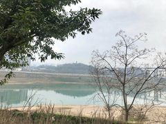 -金海湾滨江公园