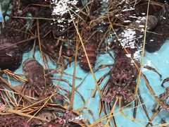 -渔民新村(番禺总店)