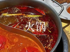 -手选潮汕鲜牛肉火锅(二七广场店)