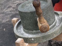 -前小桔亲子创意农场·草莓采摘·露营烧烤