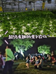 -麦粒鸟亲子游