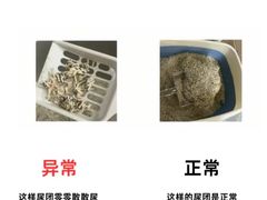 -康成宠物医院24H·CT·核磁共振