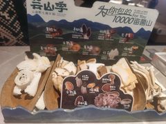 -芸山季·云南野生菌火锅(宝能环球汇店)