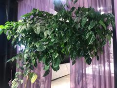 -尽膳·鱼鲜川菜(宽窄巷子店)