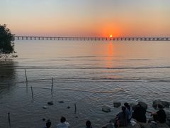 -宝安西湾红树林湿地公园