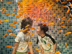 -Zoolung Zoolung动物主题公园(海信广场店)