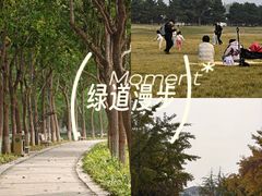 -石家庄市植物园