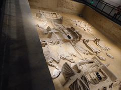 -洛阳周王城天子驾六博物馆