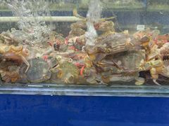 -张树军海鲜(王府壹号店)