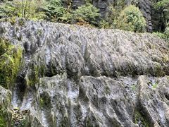 -梭布垭石林景区