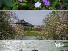 -海珠湖公园