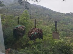 -牛鱼嘴原始生态风景区