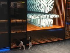 -懒鹿智能电竞酒店(蜀汉路店)