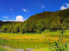 -武陵山森林公园